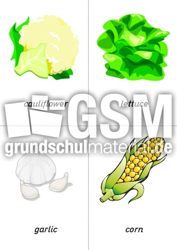 flashcard - vegetables 03.pdf